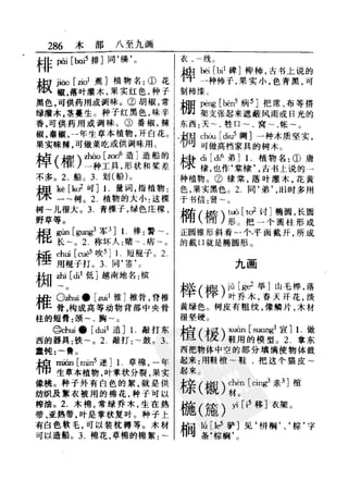新编潮州音字典——林伦伦