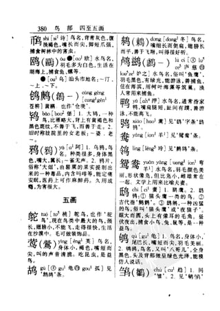 新编潮州音字典——林伦伦