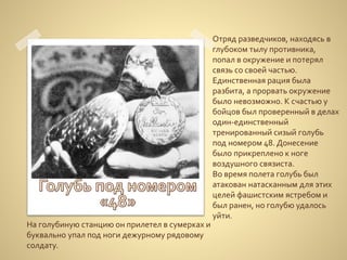 Отряд разведчиков, находясь в
глубоком тылу противника,
попал в окружение и потерял
связь со своей частью.
Единственная рация была
разбита, а прорвать окружение
было невозможно. К счастью у
бойцов был проверенный в делах
один-единственный
тренированный сизый голубь
под номером 48. Донесение
было прикреплено к ноге
воздушного связиста.
Во время полета голубь был
атакован натасканным для этих
целей фашистским ястребом и
был ранен, но голубю удалось
уйти.
На голубиную станцию он прилетел в сумерках и
буквально упал под ноги дежурному рядовому
солдату.
 