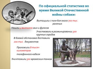 Вытащили с поля боя около 700 тыс.
раненых
Нашли 4 миллиона мин и фугасов
Участвовали в разминировании 300
крупных городов
В боевой обстановке доставили
200 тыс. документов
Проложили 8 тысяч
километров
телефонного кабеля
Уничтожили 300 вражеских танков
 