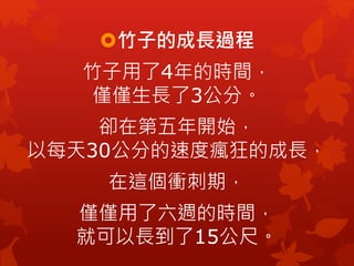 竹子的成長過程
竹子用了4年的時間，
僅僅生長了3公分。
卻在第五年開始，
以每天30公分的速度瘋狂的成長，
在這個衝刺期，
僅僅用了六週的時間，
就可以長到了15公尺。
 