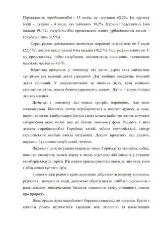 Переважають горобцеподібні - 15 видів, що дорівнює 68,2%. На другому
місці - дятлові - 4 види, що займають 18,2%. Курині представлені 2-ма
видами (9,1%), голубоподібні представлені одним урбанізованим видом -
голубом сизим (4,5 %).
Серед родин домінантами являються воронові та в'юркові: по 5 видів
(22,7 %), дятловіпредставлені 4-ма видами (18,2 %). Інші родинимають по 1-
му представнику, тобто голубиним, омелюховим, синицевим, ткачиковим
належить частка по 4,6 %.
Невтомно працюють у зимовому лісі дятли, серед яких найчастіше
зустрічаються великий дятел строкатий. Для хвойних насаджень типовий
дятел трипалий. У широколистяних та мішаних лісах, крім великого
строкатого дятла, можна бачити середнього, малого. Дятли – корисні птахи
лісових масивів.
Де-не-де в зимовому лісі можна зустріти воронових. Але вони
малочисельні. Більшість птахів перебираються в населені пункти, в сади,
парки, де легше здобутикорм. Іноді в садах можна побачити дятлів, строкате
забарвлення яких милує око на білому зимовому фоні. Радують в зимі
людину горобцеподібні. Горобець хатній, зяблик європейський, снігур
європейський помітні своєю метушнею. Деколи пролетять над садами,
парками, будинками голуб сизий, чечітка.
Цікавим є пристосування твариндо зими. Горихвістка звичайна, сойка,
повзики закопують запаси корму в лісову підстилку або ховають у тріщини
стовбурів жолуді, горіхи. Ще одним пристосуванням птахів до зимових умов
є збільшення густоти пір'я.
Знання птахів рідного краю допоможе забезпечити охорону корисних,
рідкісних , зникаючих видів, допоможе обрати шляхи найбільш розумного і
раціонального використання багатств пташиного світу, розширить знання
про природу.
Наші предки дуже шанобливо і бережно ставились до природи. Проте з
кожним роком втрачається гармонія між людиною та навколишнім
 
