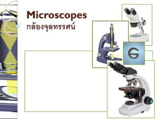 Microscopes
กล้องจุลทรรศน์
 