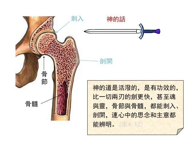 Image result for ãä¸å¸çéæ¯æ´»æ³¼çï¼æ¯æåæçããï¼æ¥4: 12ï¼