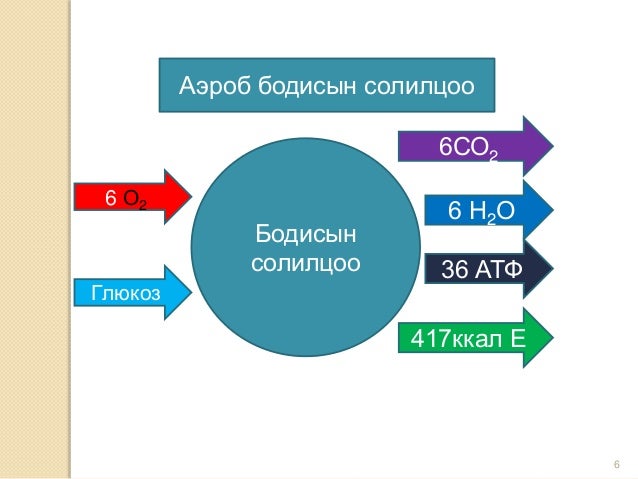 шокын үеийн яаралтай тусламж