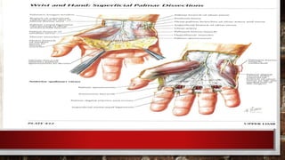 гар, сарвууны гэмтэл | PPT