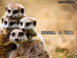 愛,需不需要理由?
愛的理由，是「信實」
 