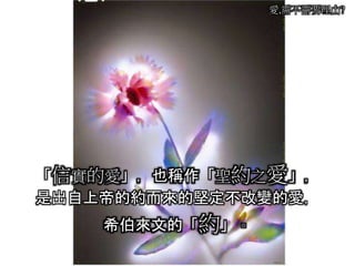 愛,需不需要理由?
「信實的愛」，也稱作「聖約之愛」，
是出自上帝的約而來的堅定不改變的愛，
希伯來文的「約」。
 