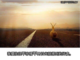 愛,需不需要理由?
我們往往不珍惜不用付出就得到的好處。
 