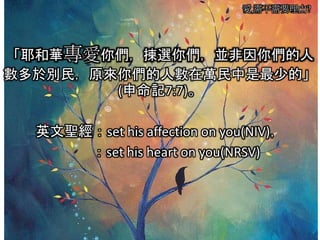 愛,需不需要理由?
「耶和華專愛你們，揀選你們，並非因你們的人
數多於別民，原來你們的人數在萬民中是最少的」
(申命記7:7)。
英文聖經：set his affection on you(NIV)，
：set his heart on you(NRSV)
 