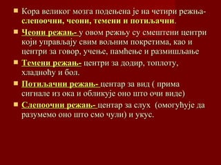  Кора великог мозга подењена је на четири режња-Кора великог мозга подењена је на четири режња-
слепоочни, чеони, темени и потиљачнислепоочни, чеони, темени и потиљачни..
 Чеони режањ-Чеони режањ- у овом режњу су смештени центриу овом режњу су смештени центри
који управљају свим вољним покретима, као икоји управљају свим вољним покретима, као и
центри за говор, учење, памћење и размишљањецентри за говор, учење, памћење и размишљање
 Темени режањ-Темени режањ- центри за додир, топлоту,центри за додир, топлоту,
хладноћу и бол.хладноћу и бол.
 Потиљачни режањ-Потиљачни режањ- центар за вид ( примацентар за вид ( прима
сигнале из ока и обликује оно што очи виде)сигнале из ока и обликује оно што очи виде)
 Слепоочни режањ-Слепоочни режањ- центар за слух (омогућује дацентар за слух (омогућује да
разумемо оно што смо чули) и укус.разумемо оно што смо чули) и укус.
 
