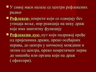  УУ сивој маси налазе се центри рефлекснихсивој маси налазе се центри рефлексних
радњирадњи
 Рефлекси-Рефлекси- покрети који се одвијају безпокрети који се одвијају без
утицаја воље, нпр реакција на неку дражутицаја воље, нпр реакција на неку драж
које има заштитну функцијукоје има заштитну функцију
 Рефлексни лук-Рефлексни лук- пут који надражај пређепут који надражај пређе
од пријемника дражи, преко осећајниход пријемника дражи, преко осећајних
нерава, до центра у кичменој мождини инерава, до центра у кичменој мождини и
затим од центра, преко покретачког нервазатим од центра, преко покретачког нерва
до мишића или органа који на драждо мишића или органа који на драж
( ефектори).( ефектори).
 
