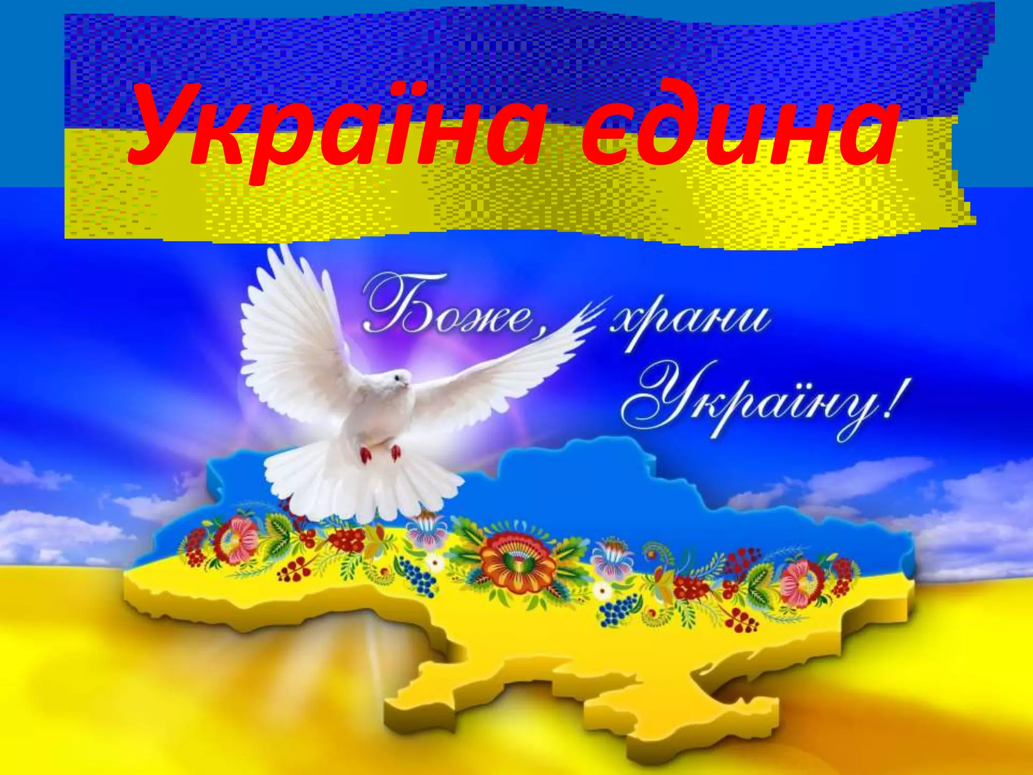 Україна єдина
 