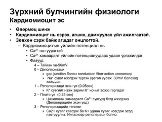 Зүрхний булчингийн физиологи
Кардиомиоцит эс
• Өвөрмөц шинж
• Кардиомиоцит нь сэрэх, агших, дамжуулах үйл ажилгаатай.
• Зөвхөн сэрж байж агшдаг онцлогтой.
– Кардиомиоцитын үйлийн потенциал нь
• Ca2+ гол үүрэгтэй
• Ca2+ хамааралт үйлийн потенциалуудаас удаан үргэжилдэг
• Фазууд
4 – Тайван үе-90mV
0 – Деполяризаци
» gap junction болон conduction fiber action нөлөөгөөр
» Na+ суваг нээгдэж түргэн урсгал үүсэж 30mV болоход
хаагддаг.
1 – Реполяризаци эхэн үе (0.05сек)
» K+ сувгийг нээж зарим K+ ионыг эсээс гаргадаг
2 – Плато үе (0.25 сек)
» Цахилгаан хамааралт Ca2+ сувгууд бүгд нээгдэнэ
(Деполерацийн эхэн үед)
3 – Реполяризацийн төгсгөл
» Ca2+ суваг хаагдах ба K+ удаан суваг нээгдэж эсэд
нэвтрүүлнэ. Ингэснээр реполераци болно.
 