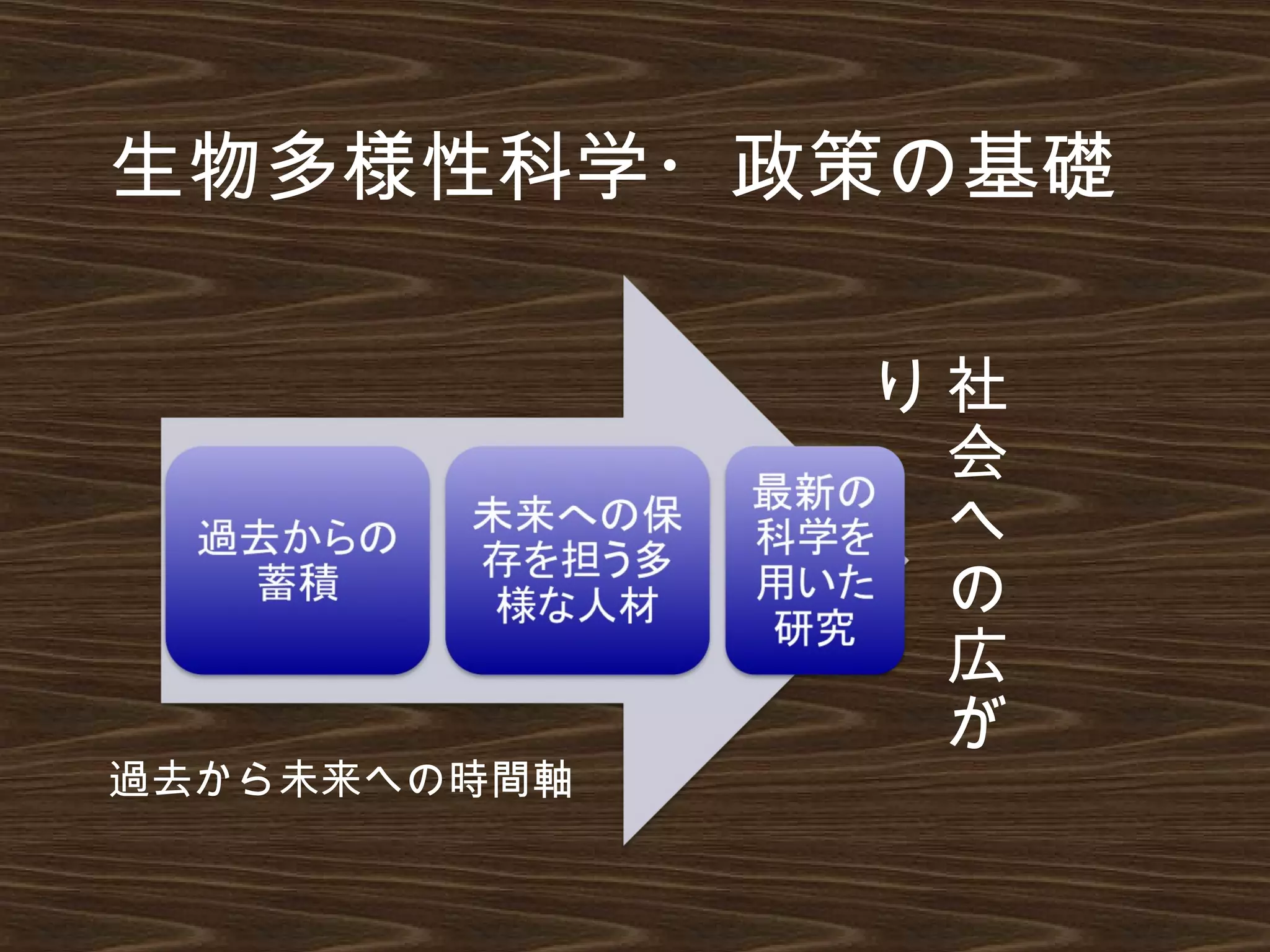 生物多様性科学・政策の基礎
社
会
へ
の
広
が
り
過去から未来への時間軸
 