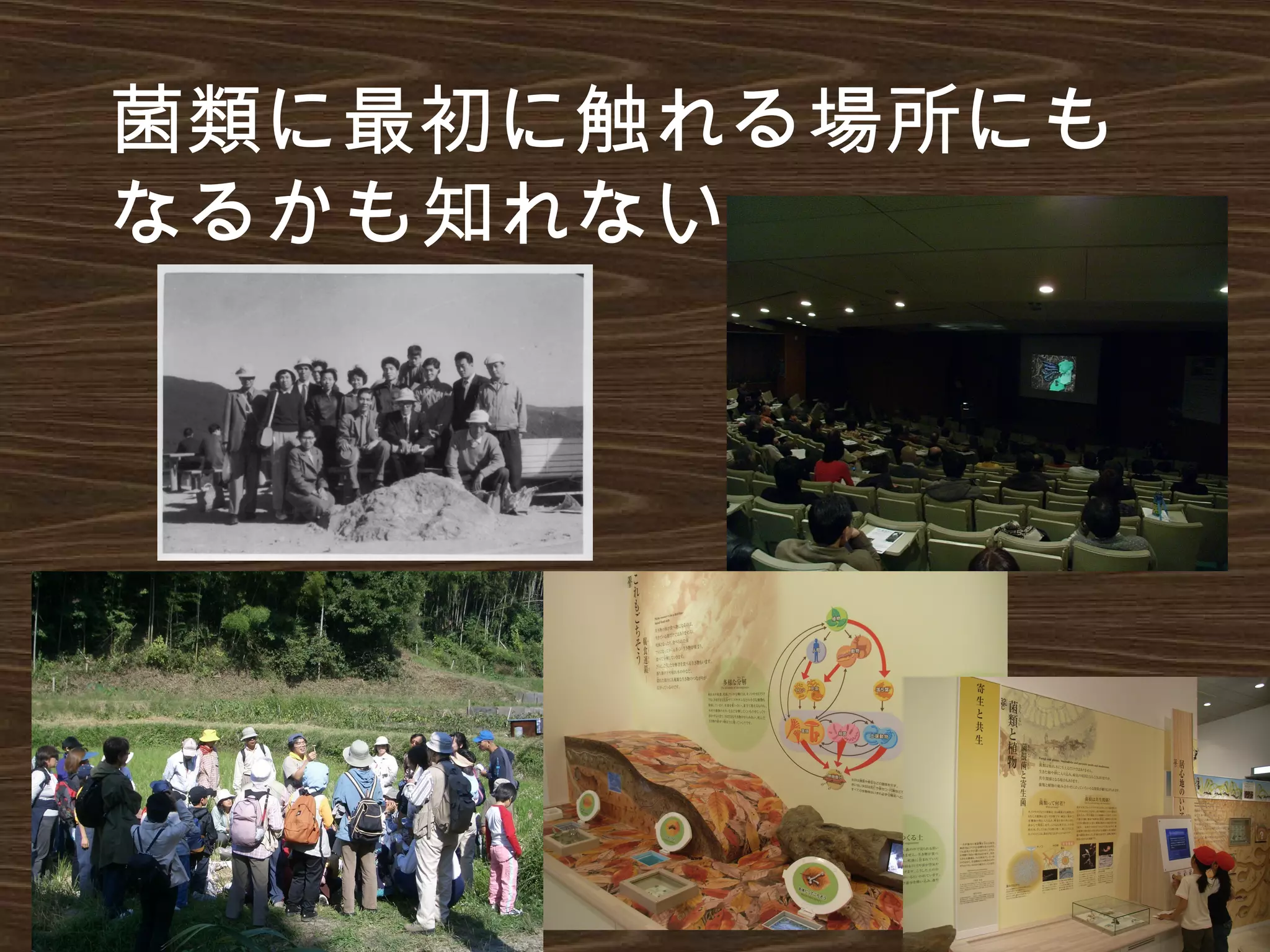 菌類に最初に触れる場所にも
なるかも知れない
 