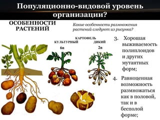 Популяционно-видовой уровень
организации?
ОСОБЕННОСТИ
РАСТЕНИЙ
4. Равноценная
возможность
размножаться
как в половой,
так и в
бесполой
форме;
3. Хорошая
выживаемость
полиплоидов
и других
мутантных
форм;
Какие особенности размножения
растений следуют из рисунка?
 