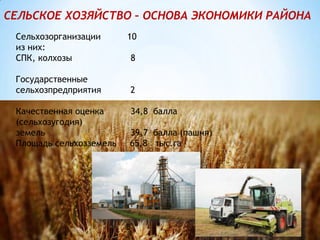 СЕЛЬСКОЕ ХОЗЯЙСТВО – ОСНОВА ЭКОНОМИКИ РАЙОНА
Сельхозорганизации 10
из них:
СПК, колхозы 8
Государственные
сельхозпредприятия 2
Качественная оценка 34,8 балла
(сельхозугодия)
земель 39,7 балла (пашня)
Площадь сельхозземель 65,8 тыс.га
 