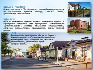 Большие Жуховичи
Центр сельсовета и СПК «Жуховичи», который специализируется
на выращивании зерновых культур, сахарной свеклы,
производстве мяса и молока.
Оюцевичи
Один из населенных пунктов Мирского поселкового Совета. В
агрогородке находится база предприятия «Птицефабрика
«Красноармейская», которое занимается птицеводством,
молочным скотоводством, производством зерна, сахарной
свеклы.
Мир
Расположен на реке Миранка в 26 км от Корелич.
С Специализация госпредприятия «Птицефабрика
« Красноармейская» – птицеводство, молочное
скотоводство, производство зерна,
сахарной свеклы.
 