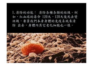 1.清除的功能： 清除各種各類的垃圾。例
如，紅血球的壽命 120天，120天後死去變
垃圾，要靠我們本身身體的免疫系統來清
除 出去，身體內其它老化細胞也一樣。
 