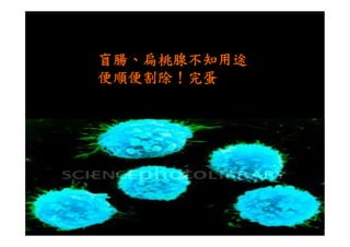 盲腸、扁桃腺不知用途
便順便割除！完蛋
 