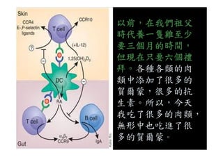 以前，在我們祖父
時代養一隻雞至少
要三個月的時間，
但現在只要六個禮
拜。各種各類的肉
類中添加了很多的類中添加了很多的
賀爾蒙，很多的抗
生素。所以，今天
我吃了很多的肉類，
無形中也吃進了很
多的賀爾蒙。
 