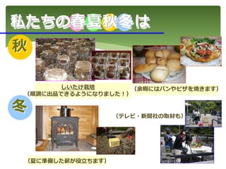 しいたけ栽培
（順調に出品できるようになりました！）
（余暇にはパンやピザを焼きます）
（夏に準備した薪が役立ちます）
（テレビ・新聞社の取材も）
私たちの春夏秋冬は
秋
冬
 
