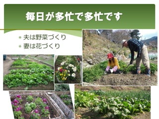  夫は野菜づくり
 妻は花づくり
毎日が多忙で多忙です
 