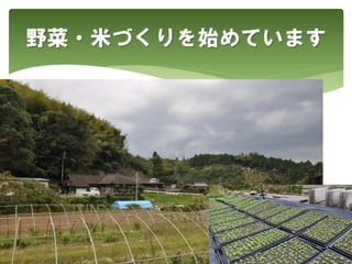 野菜・米づくりを始めています
 