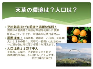  平均気温は17℃前後と温暖な気候！
豊富な水産資源と温暖な気候を利用した農業
が盛んです。冬でも、雪は滅多に降りません。
 周囲は海！（有明海、島原湾、八代海、天草灘）
大小１２０の島々。天草で一番高い山は682ｍ
→山頂からは海に浮かぶ島々が見えます。
 人口は約１１万７千人
天草市、天草市、苓北町の２市１町で
面積は約878㎢、人口は11万７千人です。
（2015年5月現在）
天草の環境は？人口は？
 