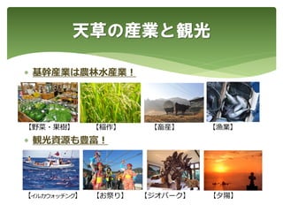  基幹産業は農林水産業！
 観光資源も豊富！
天草の産業と観光
【野菜・果樹】 【稲作】 【畜産】 【漁業】
【イルカウォッチング】 【お祭り】 【ジオパーク】 【夕陽】
 