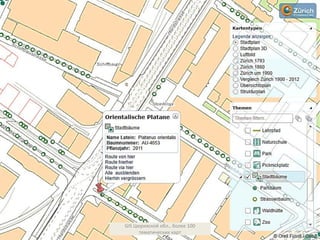 GIS Цюрихской обл., более 100
тематических карт
 
