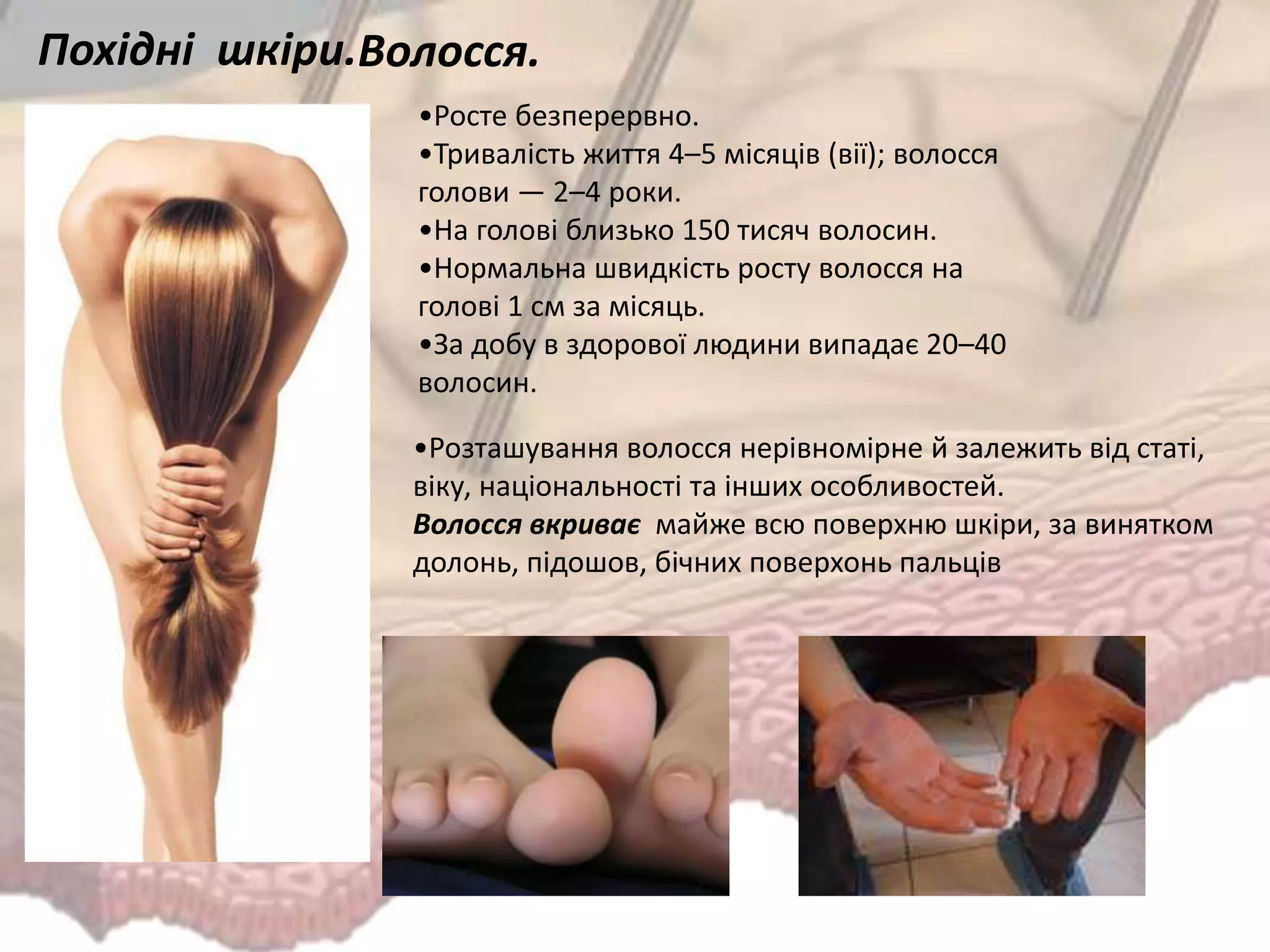 •Росте безперервно.
•Тривалість життя 4–5 місяців (вії); волосся
голови — 2–4 роки.
•На голові близько 150 тисяч волосин.
•Нормальна швидкість росту волосся на
голові 1 см за місяць.
•За добу в здорової людини випадає 20–40
волосин.
Похідні шкіри.Волосся.
•Розташування волосся нерівномірне й залежить від статі,
віку, національності та інших особливостей.
Волосся вкриває майже всю поверхню шкіри, за винятком
долонь, підошов, бічних поверхонь пальців
 