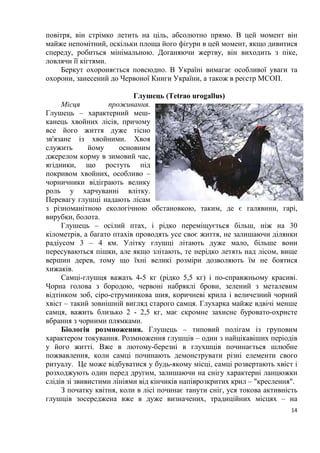 14
повітря, він стрімко летить на ціль, абсолютно прямо. В цей момент він
майже непомітний, оскільки площа його фігури в цей момент, якщо дивитися
спереду, робиться мінімальною. Доганяючи жертву, він виходить з піке,
ловлячи її кігтями.
Беркут охороняється повсюдно. В Україні вимагає особливої уваги та
охорони, занесений до Червоної Книги України, а також в реєстр МСОП.
Глушець (Tetrao urogallus)
Місця проживання.
Глушець – характерний меш-
канець хвойних лісів, причому
все його життя дуже тісно
зв'язане із хвойними. Хвоя
служить йому основним
джерелом корму в зимовий час,
ягідники, що ростуть під
покривом хвойних, особливо –
чорничники відіграють велику
роль у харчуванні влітку.
Перевагу глушці надають лісам
з різноманітною екологічною обстановкою, таким, де є галявини, гарі,
вирубки, болота.
Глушець – осілий птах, і рідко переміщується більш, ніж на 30
кілометрів, а багато птахів проводять усе своє життя, не залишаючи ділянки
радіусом 3 – 4 км. Улітку глушці літають дуже мало, більше вони
пересуваються пішки, але якщо злітають, те нерідко летять над лісом, вище
вершин дерев, тому що їхні великі розміри дозволяють їм не боятися
хижаків.
Самці-глушця важать 4-5 кг (рідко 5,5 кг) і по-справжньому красиві.
Чорна голова з бородою, червоні набряклі брови, зелений з металевим
відтінком зоб, сіро-струминкова шия, коричневі крила і величезний чорний
хвіст – такий зовнішній вигляд старого самця. Глухарка майже вдвічі менше
самця, важить близько 2 - 2,5 кг, має скромне захисне буровато-охристе
вбрання з чорними плямками.
Біологія розмноження. Глушець – типовий полігам із груповим
характером токування. Розмноження глушців – один з найцікавіших періодів
у його житті. Вже в лютому-березні в глухшців починається шлюбне
пожвавлення, коли самці починають демонструвати різні елементи свого
ритуалу. Це може відбуватися у будь-якому місці, самці розвертають хвіст і
розходжують один перед другим, залишаючи на снігу характерні ланцюжки
слідів зі звивистими лініями від кінчиків напіврозкритих крил – "креслення".
З початку квітня, коли в лісі починає танути сніг, уся токова активність
глушців зосереджена вже в дуже визначених, традиційних місцях – на
 