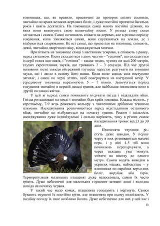 15
токовищах, що, як правило, присвячені до прозорих спілих сосників,
звичайно по краях великих верхових боліт, і дуже постійні протягом багатьох
років і навіть десятиліть. На токовищах самці мають постійні ділянки, на
яких вони виконують свою незвичайну пісню. У розпал співу сюди
злітаються і самки. Самці починають співати на деревах, але в розпал періоду
токування, коли з'являються самки, вони спускаються на землю, де і
відбувається спарювання. Не всі самці, що прилетіли на токовище, співають,
деякі, звичайно дворічного віку, відсиджуються мовчки.
Прилітають на токовище самці з настанням темряви, а співають з ранку,
перед світанком. Пісня складається з двох частин – "текання", що складається
із серії тихих щигликів, і "точіння" – також тихих, чутних не далі 200 метрів,
глухих скреготливих звуків, що тривають 2 – 3 секунди. Під час другої
половини пісні завжди обережний глушець перестає реагувати на зовнішні
звуки, що і лягло в основу його назви. Коли встає сонце, спів поступово
затихає, і самці по черзі летять, щоб повернутися на наступний вечір. У
середньому токовища нараховують 5 – 7 півнів. Закінчується період
токування звичайно в першій декаді травня, але найбільше інтенсивне воно в
другій половині квітня.
У цей ж період самки починають будувати гнізда і відкладати яйця.
Гнізда розташовані на землі і звичайно біля країв токовищ. Кладка містить, у
середньому, 7-9 яєць рожевого кольору з численними дрібними темними
плямами. Насиджування розпочинається перед відкладанням останнього
яйця, звичайно це відбувається на початку травня. Режим і щільність
насиджування дуже індивідуальні і сильно варіюють, тому в різних самок
насиджування триває від 23 до 30
днів.
Пташенята глухшця ро-
стуть дуже швидко. У першу
чергу в них розвиваються махові
пера, і у віці 4-5 діб вони
починають перепурхувати, а
через тиждень уже можуть
злітати на висоту до одного
метра. Самки водять виводки в
укритих місцях, найчастіше – у
ялинниках по окраїнах верхо-вих
боліт, вирубок або гарів.
Терморегуляція маленьких пташенят дуже недосконала, самки їх часто
гріють. Дуже небезпечні для маленьких глушенят затяжні дощі і холодна
погода на початку червня.
У такий час мало комах, пташенята голодують і мерзнуть. Самки
бувають змушені їх постійно гріти, але пташенята при цьому недоїдають. У
подібну погоду їх гине особливо багато. Дуже небезпечно для них у цей час і
 