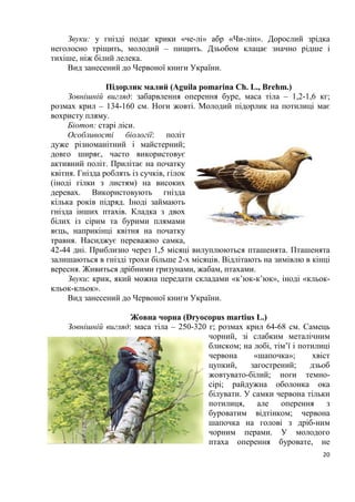 20
Звуки: у гнізді подає крики «че-лі» абр «Чи-лін». Дорослий зрідка
неголосно тріщить, молодий – пищить. Дзьобом клацає значно рідше і
тихіше, ніж білий лелека.
Вид занесений до Червоної книги України.
Підорлик малий (Aguila pomarina Ch. L., Brehm.)
Зовнішній вигляд: забарвлення оперення буре, маса тіла – 1,2-1,6 кг;
розмах крил – 134-160 см. Ноги жовті. Молодий підорлик на потилиці має
вохристу пляму.
Біотоп: старі ліси.
Особливості біології: політ
дуже різноманітний і майстерний;
довго ширяє, часто використовує
активний політ. Прилітає на початку
квітня. Гнізда роблять із сучків, гілок
(іноді гілки з листям) на високих
деревах. Використовують гнізда
кілька років підряд. Іноді займають
гнізда інших птахів. Кладка з двох
білих із сірим та бурими плямами
яєць, наприкінці квітня на початку
травня. Насиджує переважно самка,
42-44 дні. Приблизно через 1,5 місяці вилуплюються пташенята. Пташенята
залишаються в гнізді трохи більше 2-х місяців. Відлітають на зимівлю в кінці
вересня. Живиться дрібними гризунами, жабам, птахами.
Звуки: крик, який можна передати складами «к’юк-к’юк», іноді «кльок-
кльок-кльок».
Вид занесений до Червоної книги України.
Жовна чорна (Dryocopus martius L.)
Зовнішній вигляд: маса тіла – 250-320 г; розмах крил 64-68 см. Самець
чорний, зі слабким металічним
блиском; на лобі, тім’ї і потилиці
червона «шапочка»; хвіст
цупкий, загострений; дзьоб
жовтувато-білий; ноги темно-
сірі; райдужна оболонка ока
білувати. У самки червона тільки
потилиця, але оперення з
буроватим відтінком; червона
шапочка на голові з дріб-ним
чорним перами. У молодого
птаха оперення буровате, не
 