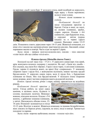 22
на верхівці; дзьоб і ноги бурі. У молодого птаха, який подібний до дорослого,
пера верху з білою верхівкою;
на волі темні плями.
Біотоп: лісові галявини та
узлісся.
Особливості біології: на
місце гніздування прилітає в
березні. Гнізда в ямці, на землі,
на лісових галявинах, зрубах,
старих дорогах. Кладка з 4-6
плямистих, сіро-буруватих яєць,
у середині квітня (перша
кладка) та в червні (друга
кладка). Насиджує самка 13-15
днів. Пташенята стають дорослими через 14-15 днів. Живиться комахами, а в
кінці літа і восени ще насінням різних трав’янистих рослин. Лякливий; співає
переважно високо в повітрі. Часто сідає на верхів’ї дерев.
Звуки: пісня – тривале «юлі-юл-юлюлію-лю»; поклик – тихе свистові
«тліві-твілі» або ще слабше «тітлі-юіт».
Плиска гірська (Motacilla cinerea Tunst.)
Зовнішній вигляд: маса тіла – 17-21 г. У дорослого самця верх тіла сірий,
крім жовтувато-зеленого попереку і надхвістя. На шиї з боків від дзьоба –
білі смужки, над оком білі «брови». Горло і воло чорні, зі світлими плямками.
Груди, черево й підхвістя жовті, на крилі біле «дзеркальце». У зимовому
оперенні горло і груди білі, з жовтуватим відтінком, нижня частина грудей
брудно-жовта. У дорослих самок горло, воло й груди білі, з буруватими
плямками по боках. Низ тіла брудно-жовтий. У молодого птаха оперення
менш яскраве, жовті частини оперення мають рудуватий відтінок.
Біотоп: гірські потоки, річки і озера; взимку трапляється на водоймах
рівнин.
Особливості біології: прилітає у
квітні. Гнізда робить на землі серед
каміння, в щілинах скель, будівель із
соломи, маленьких паличок. Вимощує
вовною, кінським волосом. Кладка з 5-6
жовтих, з дрібними темними плямками,
у квітні. Насиджують обидва птахи, 12-
14 днів. Пташенят залишаються в гнізді
12-13 днів. Відлітає в жовтні. Живиться комахами та іншими безхребетними,
яких ловлять по берегах річок, струмків, на землі, іноді в повітрі. Тримається
поодинці та парами.
Звуки: пісня –коротке щебетання; поклик – голосне «ціл-ліп».
 