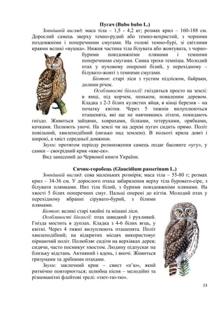 23
Пугач (Bubo bubo L.)
Зовнішній вигляд: маса тіла – 1,5 - 4,2 кг; розмах крил – 160-188 см.
Дорослий самець зверху темно-рудий або темно-вохристий, з чорними
поздовжніми і поперечними смугами. На голові темно-бурі, зі світлими
краями великі «вушка». Нижня частина тіла білувата або жовтувата, з чорно-
бурими повздовжніми плямами і темними
поперечними смугами. Самка трохи темніша. Молодий
птах у пуховому оперенні білий, у перехідному –
білувато-жовті з темними смугами.
Біотоп: старі ліси з густим підліском, байраки,
долини річок.
Особливості біології: гніздиться просто на землі:
в ямці, під корчем, пеньком, поваленим деревом.
Кладка з 2-3 білих кулястих яйця, в кінці березня – на
початку квітня. Через 5 тижнів вилуплюються
пташенята, які ще не навчившись літати, покидають
гніздо. Живиться зайцями, ховрахами, білками, тетеруками, орябками,
качками. Полюють уночі. На землі чи на дереві пугач сидить прямо. Політ
повільний, хвилеподібний (низько над землею). В польоті крила довгі і
широкі, а хвіст середньої довжини.
Звуки: протягом періоду розмноження самець подає басовите «угу», у
самки – своєрідний крик «кве-ек».
Вид занесений до Червоної книги України.
Сичик-горобець (Glaucidium passerinum L.)
Зовнішній вигляд: сова маленьких розмірів; маса тіла – 55-80 г; розмах
крил – 34-36 см. У дорослого птаха забарвлення верху тіла буровато-сіре, з
білувати плямками. Низ тіла білий, з бурими повздовжніми плямами. На
хвості 5 білих поперечних смуг. Пальці оперені до кігтів. Молодий птах у
перехідному вбранні сірувато-бурий, з білими
плямами.
Біотоп: великі старі хвойні та мішані ліси.
Особливості біології: птах швидкий і рухливий.
Гнізда мостить в дуплах. Кладка з 4-6 білих яєць, у
квітні. Через 4 тижні вилуплюють пташенята. Політ
хвилеподібний; на відкритих місцях використовує
пірнаючий політ. Полюбляє сидіти на верхівках дерев;
сидячи, часто посмикує хвостом. Людину підпускає на
близьку відстань. Активний і вдень, і вночі. Живиться
гризунами та дрібними птахами.
Звуки: закличний крик – свист «п’ю», який
ритмічно повторюється; шлюбна пісня – мелодійні та
різноманітні флейтові трелі: «тют-тю-тю».
 