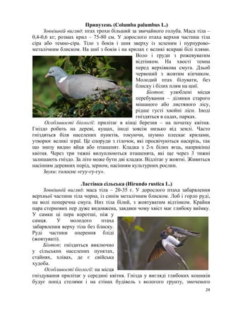 24
Припутень (Columba palumbus L.)
Зовнішній вигляд: птах трохи більший за звичайного голуба. Маса тіла –
0,4-0,6 кг; розмах крил – 75-80 см. У дорослого птаха верхня частина тіла
сіра або темно-сіра. Тіло з боків і шия зверху із зеленим і пурпурово-
металічним блиском. На шиї з боків і на крилах є великі яскраві білі плями.
Воло і груди з рожевуватим
відтінком. На хвості темна
перед верхівкова смуга. Дзьоб
червоний з жовтим кінчиком.
Молодий птах білувати, без
блиску і білих плям на шиї.
Біотоп: улюблені місця
перебування – ділянки старого
мішаного або листяного лісу,
рідше густі хвойні ліси. Іноді
гніздяться в садах, парках.
Особливості біології: прилітає в кінці березня – на початку квітня.
Гніздо робить на дереві, кущах, іноді зовсім низько від землі. Часто
гніздяться біля населених пунктів, токуючи, шумно плескає крилами,
утворює великі зграї. Це споруди з гілочок, які просвічуються наскрізь, так
що знизу видно яйця або пташенят. Кладка з 2-х білих яєць, наприкінці
квітня. Через три тижні вилуплюються пташенята, які ще через 3 тижні
залишають гніздо. За літо може бути дві кладки. Відлітає у жовтні. Живиться
насінням деревних порід, зерном, насінням культурних рослин.
Звуки: голосне «гуу-гу-гу».
Ластівка сільська (Hirundo rustica L.)
Зовнішній вигляд: маса тіла – 20-35 г. У дорослого птаха забарвлення
верхньої частини тіла чорна, із синім металічним блиском. Лоб і горло руді,
на волі поперечна смуга. Низ тіла білий, з жовтуватим відтінком. Крайня
пара стернових пер дуже видовжена, завдяки чому хвіст має глибоку виїмку.
У самки ці пера коротші, ніж у
самця. У молодого птаха
забарвлення верху тіла без блиску.
Руді частини оперення бліді
(жовтуваті).
Біотоп: гніздиться виключно
у сільських населених пунктах,
стайнях, хлівах, де є свійська
худоба.
Особливості біології: на місця
гніздування прилітає у середині квітня. Гнізда у вигляді глибоких кошиків
будує попід стелями і на стінах будівель з вологого грунту, змоченого
 