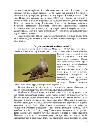 25
власною слиною, скріплює його кінським волосом тощо. Зсередини гніздо
вимощує пір’ям, м’якою травою. На рік буває дві кладки з 4-6 білих з
плямками яєць, у середині травня – в кінці червня. Насиджує самка, 13-16
днів. Пташенята залишаються в гнізді 20-22 дні. Відлітає на зимівлю у
вересні-жовтні. У польоті відрізняється від інших ластівок довгим хвостом.
Полює на комах на льоту. І в польоті, і сидячі на будівлях, щебечуть.
Живиться переважно літаючими комахами: двокрилими, жуками,
метеликами, бабками. У погану погоду збирає комах і павуків на стінах і
дахах будівель. Воду п’є також іноді на льоту. Людини не боїться, підпускає
її дуже близько до себе.
Звуки: в шлюбний період – коротенька тріскотлива пісенька. В інші пори
року або коли дуже налякає подає коротенький пронизливий крик – «ді-біст»
або «тіі-віт».
Зозуля звичайна (Cuculus canorus L.)
Зовнішній вигляд: невеликий птах. Маса тіла – 90-120 г; розмах крил –
55-65 см. Самець зверху темно-сірий, голова і крила мають бурий відтінок.
Горло і груди у верхній частині
сірі, черево біле, з темними
поперечним смугами. Самки
двох типів забарвлення: сірі, з
помітним рудуватим відтінком
верхньої частини тіла і з
темними смугами на волі або
іржаво-руді зверху, з темним
поперечним візерунком. У
молодого птаха верх тіла
темно-бурий, з рудуватими
смугами і білими плямками.
Горло і воло темно-бурі, з жовтуватими смужками.
Біотоп: різноманітні місцевості, де є деревні насадження або очеретяні
зарості в заплавинах річок, по берегах боліт, озер, водосховищ.
Особливості біології: прилітає в кінці квітня – на початку травня, коли
вже дерева вкриваються листям. Самці майже відразу починають «кувати».
Літаючи понад кущами, очеретяними заростями, в лісі зозуля помічає гнізда
маленьких пташок і підкидає туди по одному яйцю. Яйця зозулі порівняно з
розміром птаха дуже маленькі, майже не відрізняються за розмірами від яєць
господаря гнізда. Отже, яйце зозулі залишається лежати в гнізді не
поміченими. Розвиток пташеняти в яйці зозулі проходить скоріше, ніж у
горобиних птахів (11-12 днів), тому її пташенята з’являється на світ раніше.
Через кілька годин пташеня починає викидати з гнізда всі зайві предмети.
Підлазить під яйце пташки-господаря, закочує яйце на спину, потім
випростовується і виштовхує його. Так пташенята зозулі викидає всі яйця.
 