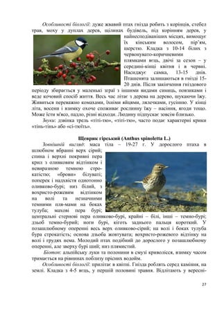 27
Особливості біології: дуже жвавий птах гнізда робить з корінців, стебел
трав, моху у дуплах дерев, щілинах будівель, під корінням дерев, у
найнесподіваніших місцях, вимощує
їх кінським волосом, пір’ям,
шерстю. Кладка з 10-14 білих з
червонувато-коричневими
плямками яєць, двічі за сезон – у
середині-кінці квітня і в червні.
Насиджує самка, 13-15 днів.
Пташенята залишаються в гнізді 15-
20 днів. Після закінчення гніздового
періоду збирається у маленькі зграї з іншими видами синиць, повзиками і
веде кочовий спосіб життя. Весь час літає з дерева на дерево, шукаючи їжу.
Живиться переважно комахами, їхніми яйцями, лялечками, гусінню. У кінці
літа, восени і взимку охоче споживає рослинну їжу – насіння, ягоди тощо.
Може їсти м'ясо, падло, різні відходи. Людину підпускає зовсім близько.
Звуки: дзвінка трель «тіті-тю», «тіті-тю», часто подає характерні крики
«тінь-тінь» або «сі-тюїть».
Щеврик гірський (Anthus spinoletta L.)
Зовнішній вигляд: маса тіла – 19-27 г. У дорослого птаха в
шлюбном вбранні верх сірий;
спина і верхні покривні пера
крил з оливковим відтінком і
невиразною темною стро-
катістю; «брови» білуваті;
поперек і надхвістя однотонно
оливково-бурі; низ білий, з
вохристо-рожевим відтінком
на волі та незначними
темними пля-мами на боках
тулуба; махові пера бурі;
центральні стернові пера оливково-бурі, крайні – білі, інші – темно-бурі;
дзьоб темно-бурий; ноги бурі, кіготь заднього пальця короткий. У
позашлюбному оперенні весь верх оливково-сірий; на волі і боках тулуба
бура строкатість; основа дзьоба жовтувата; вохристо-рожевого відтінку на
волі і грудях нема. Молодий птах подібний до дорослого у позашлюбному
оперенні, але зверху бурі ший; низ плямистий.
Біотоп: альпійську луки та полонини в смузі криволісся, взимку часом
тримається на рівнинах поблизу прісних водойм.
Особливості біології: прилітає в квітні. Гнізда роблять серед каміння, на
землі. Кладка з 4-5 яєць, у першій половині травня. Відлітають у вересні-
 