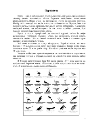4
Передмова
Птахи – одні з найцікавіших створінь природи, які здавна приваблювали
людину своєю можливістю літати, барвами, поведінкою, винятковою
різноманітністю. Птахи (aves) – це теплокровні істоти, які дихають повітрям.
Нині у світі є понад 9 тис. видів птахів, що поділяються на 28 рядів, їхнє тіло
покрито пір'ям, голова маленька, має дзьоб, кістки порожнисті, є додаткові
повітряні мішки, що забезпечують їм так зване подвійне дихання; їхні
передні кінцівки перетворилися на крила.
Крила у птахів прикріплені до жорсткої грудної клітки із добре
розвиненими гребенями грудини. М'язи, які дозволяють птахам літати,
становлять майже 15% від їхньої загальної ваги. Птахи є єдиними (крім
кажанів) літаючими хребетними.
Усі птахи належать до класу яйцеродних. Первісні птахи, що жили
близько 140 мільйонів років тому, вже мали оперення. Багато видів птахів
з'явилися понад 70 млн. років тому. Більшість сучасних видів існують вже
40 млн. років.
Завдяки здібностям пристосовуватися до навколишнього середовища,
яка склалася у птахів у процесі еволюції, на земній кулі вони живуть майже
повсюди.
В Україні зареєстровано біля 400 видів птахів і 67 з них занесені до
національної Червоної книги. 17% наших птахів можуть зникнути на наших
очах. А це вже наша спадщина і нам її берегти.
 
