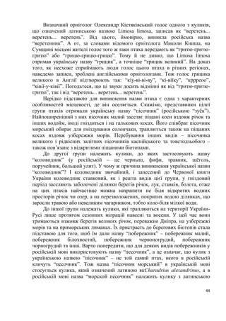 44
Визначний орнітолог Олександр Кістяківський голос одного з куликів,
що означений латинською назвою Limosa limosa, записав як “веретень...
веретень... веретень”. Від цього, ймовірно, виникла російська назва
“веретенник”. А от, за словами відомого орнітолога Миколи Книша, на
Сумщині місцеві жителі голос того ж таки птаха передають як “гритю-гритю-
гритю” або “грицю-грицю-грицю”. Тому й не дивно, що Limosa limosa
отримав українську назву “грицик”, а точніше “грицик великий”. На доказ
того, як несхоже сприймають люди голос цього птаха в різних регіонах,
наведемо записи, зроблені англійськими орнітологами. Тож голос грицика
великого в Англії відтворюють так: “кіу-ві-ві-ву”, “кі-віїку”, “кррреоо”,
“ківії-у-ківії”. Погодьтеся, що ці звуки досить відмінні як від “гритю-гритю-
гритю”, так і від “веретень... веретень... веретень”.
Нерідко підставою для виникнення назви птаха є одна з характерних
особливостей місцевості, де він оселяється. Скажімо, представники цілої
групи птахів отримали українську назву “пісочник” (російською “зуёк”).
Найпоширеніший з них пісочник малий заселяє піщані коси вздовж річок та
інших водойм, іноді гніздиться і на галькових косах. Його співбрат пісочник
морський обирає для гніздування солончаки, трапляється також на піщаних
косах вздовж узбережжя морів. Перебування інших видів – пісочника
великого і рідкісних залітних пісочників каспійського та товстодзьобого –
також пов’язане з відкритими піщаними біотопами.
До другої групи належать кулики, до яких застосовують назву
“коловодник” (у російській – це черныш, фифи, травник, щёголь,
поручейник, большой улит). У чому ж причина виникнення української назви
“коловодник”? І коловодник звичайний, і занесений до Червоної книги
України коловодник ставковий, як і решта видів цієї групи, у гніздовий
період заселяють заболочені ділянки берегів річок, лук, ставків, болота, отже
на цих птахів найчастіше можна натрапити не біля відкритих водних
просторів річок чи озер, а на перезволожених, покритих водою ділянках, що
заросли травою або невеликим чагарником, тобто коло-біля мілкої води.
До іншої групи належать кулики, які трапляються на території України-
Русі лише протягом сезонних міграцій навесні та восени. У цей час вони
тримаються взжовж берегів великих річок, переважно Дніпра, на узбережжі
морів та на приморських лиманах. Їх пристрасть до берегових біотопів стала
підставою для того, щоб їм дали назву “побережник” – побережник малий,
побережник білохвостий, побережник червоногрудий, побережник
чорногрудий та інші. Варто попередити, що для деяких видів побережників у
російській мові використовують назву “песочник”, а це означає, що кулик з
українською назвою “пісочник” – не той самий птах, якого в російській
кличуть “песочник”. Тож назва “пісочник морський” в українській мові
стосується кулика, який означений латиною якCharadrius alexandrinus, а в
російській мові назва “морской песочник” належить кулику з латинською
 
