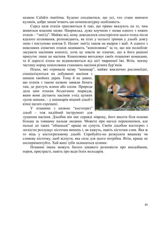 45
назвою Calidris maritima. Будемо сподіватися, що усі, хто стане вивчати
куликів, добре запам’ятають цю номенклатурну особливість.
Серед назв птахів трапляються й такі, що прямо вказують на те, чим
живиться власник назви. Наприклад, дуже влучною є назва одного з хижих
птахів – “змієїд”. Майже всі, кому доводилося спостерігати цього птаха після
вдалого полювання, розповідають, як птах у польоті тримав у дзьобі довгу
змію і поступово ковтав її. Полює змієїд також на ящірок і жаб. А одного з
невеликих співочих птахів називають “коноплянка” за те, що він полюбляє
ласувати насінням коноплі, хоча це зовсім не означає, що в його раціоні
присутнє лише це насіння. Коноплянка вигодовує своїх пташенят комахами,
та й дорослі птахи не відмовляються від цієї тваринної їжі. Втім, значну
частину корму коноплянки становить насіння різних бур’янів.
Птахи, які отримали назву “шишкар”, майже виключно рослиноїдні,
спеціалізуються на добуванні насіння з
шишок хвойних дерев. Тому й не дивно,
що птахів з такою назвою завжди бачать
там, де ростуть ялини або сосни. Природа
дала цим птахам бездоганне знаряддя,
яким вони дістають насіння з-під цупких
лусок шишки, – у шишкарів міцний дзьоб і
кінці щелеп схрещені.
У пташини з назвою “костогриз”
дзьоб – теж надійний інструмент для
лущення насіння. Дзьобик він має справді нівроку, його висота біля основи
більша за товщину пальця людини. Можете при нагоді переконатися, але
пальці до таких “обценьок” краще не сунути. Своїм дзьобом костогриз з
легкістю розлущує кісточки вишень і, як кажуть, навіть кісточки слив. Яка ж
то міць у костогризовому дзьобі. Спробуйте-но розкусити вишневу чи
сливову кісточку, щоб відчути, яка сила для цього потрібна. Втім, краще не
експериментуйте. Хай ваші зуби залишаться цілими.
Пташині імена можуть багато цікавого розповісти про вподобання,
норов, пристрасті, навіть про вади їхніх володарів.
 