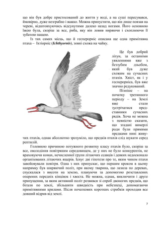 7
що він був добре пристосований до життя у воді, а на суші пересувався,
ймовірно, дуже незграбно і важко. Можна припустити, що він лише повзав на
череві, відштовхуючись відсунутими далеко назад ногами. Його основною
їжею була, скоріш за все, риба, яку він ловив ниряючи і схоплюючи її
зубатою пащею.
Із тих самих місць, що й гесперорніс описана ще одна примітивна
птаха – Іхтіорніс (Ichthyornis), зовні схожа на чайку.
Це був добрий
літун, за останніми
уявленнями вже з
беззубим дзьобом,
який був дуже
схожим на сучасних
птахів. Хвіст, як і у
гесперорніса, був вже
значно редукований.
Пізніше – на
початку третинного
періоду – на Землі
вже стали
зустрічатися пред-
ставники сучасних
рядів. Хоча не можна
з певністю сказати,
що згадані вимерлі
роди були прямими
предками нині живу-
чих птахів, однак абсолютно зрозуміло, що предків птахів слід шукати серед
рептилій.
Головною причиною потужного розвитку класу птахів було, скоріш за
все, оволодіння повітряним середовищем, де у них не було конкурентів, не
враховуючи комах, нечисленної групи літаючих ссавців і деяких недосконало
організованих літаючих ящерів. Існує дві гіпотези про те, яким чином птахи
завойовували повітря. Одна з них припускає, що першим кроком в цьому
напрямку був ширяючий політ, при якому тварина, що лазила по деревах,
спускалася з висоти на землю, плануючи за допомогою розставлених
оперених передніх кінцівок і хвоста. Не можна, однак, виключити і друге
припущення, за яким активний політ розвився зі спроб двоногих предків, що
бігали по землі, збільшити швидкість при небезпеці, допомагаючи
примітивними крилами. Після початкових коротких стрибків проходив все
довший відрив від землі.
 