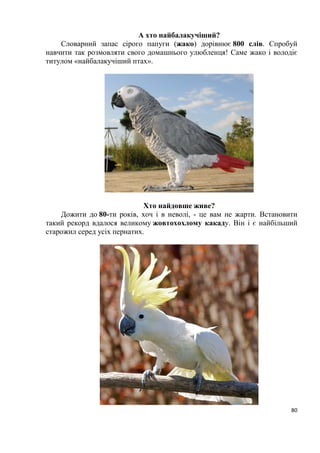 11
становить 23,2%; більша частина території Івано-Франківської, Львівської,
Тернопільської, Хмельницької і південні райони Волинської та Рівенської
областей належать до західноукраїнського лісостепу, де лісистість досягає
11,3%; південь Івано-Франківської, Львівської, Чернівецької і північ
Закарпатської областей розташовані в гірсько-карпатській зоні з властивою
їй вертикальною поясністю у розподілі рослинності і лісистістю, що
становить. 36,6%; південні райони Тернопільської, Хмельницької і північні
Чернівецької областей, які нещодавно належали до степової зони, тепер
гранично окультурені.
З усіх названих ландшафтно-географічних зон найсуттєвішу роль
відіграють Українські Карпати, які характерні специфічною авіфауною
чисельністю приблизно 280 видів. Особливості орнітофауни цієї гірської
країни полягають у тому, що саме тут домінують тайгові і є альпійські види.
Загальний вигляд карпатської фауни птахів − лісовий з домішкою
елементів, фауни окультуреного ландшафту. Головне ядро карпатської
авіфауни складають види закритих і напівзакритих стацій різних типів лісу.
Екологічно з лісовими біотопами: пов’язані тетеревині, голуби, денні
хижаки, сови, зозулі, дрімлюги, сиворакші, дятли, численні види горобиних.
Для Українських Карпат тепер характерні: карпатський глушець, карпатська
довгохвоста сова, карпатський білоспинний дятел, трипалий дятел, кедрівка,
шишкар смерековий, гірська плиска, гірський щеврик, білозобий дрізд,
альпійська тинівка, оляпка та інші.
Українські Карпати, що простягаються зі сходу на захід 300-
кілометровою дугою є суттєвою фізичною і кліматичною перешкодою на
шляхах міграцій багатьох видів пернатих. Частина птахів перелітає гори в
місцях низьких перевалів, частина облітає цю гірську систему долинами
дельт Дністра і Дунаю. Орнітофауна Закарпаття свідчить про те, що
Паннонська рівнина, ізольована карпатськими горами з півночі, є своєрідним
районом, в якому не трапляються птахи, зазначені на правобережній Україні.
Прикарпаття відкрите для мігруючих пернатих з боку степових просторів
Східної України, що зумовлює присутність на цій території близько 40 видів
птахів (кулики, мартини, гагари, гусині, веслоногі, голінасті, хижі, сови,
горобині), які відсутні або дуже рідкісні у Закарпатті.
Разом з тим деякі види птахів, які поширені на півдні Європи і
нещодавно з’явились у Центральній Європі, досить звичайні на гніздуванні в
Закарпатській рівнині, а у Прикарпатті поки що трапляються зрідка. До них
належать: сірійський дятел, строкатий кам’яний дрізд, чорноголовий чекан та
інші.
В авіфауні Українських Карпат є немало видів і підвидів птахів,
відсутніх на Волино-Подільському плато, але виявлених у лісах Волинського
Полісся. Це глухар, рябчик, білоспинний і трипалий дятли, довгохвоста сова.
Перелічені птахи в Карпатах і на Поліссі виявлені різними підвидами
(Страутман, Татаринов, 1958). В Українських Карпатах відсутня абсолютна
 