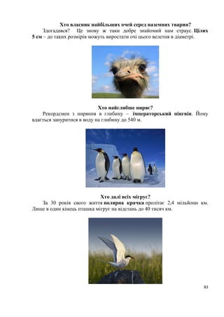 83
Хто власник найбільших очей серед наземних тварин?
Здогадався? Це знову ж таки добре знайомий нам страус. Цілих
5 см – до таких розмірів можуть виростати очі цього велетня в діаметрі.
Хто найглибше ниряє?
Рекордсмен з ниряння в глибину – імператорський пінгвін. Йому
вдається зануритися в воду на глибину до 540 м.
Хто далі всіх мігрує?
За 30 років свого життя полярна крачка пролітає 2,4 мільйони км.
Лише в один кінець пташка мігрує на відстань до 40 тисяч км.
 