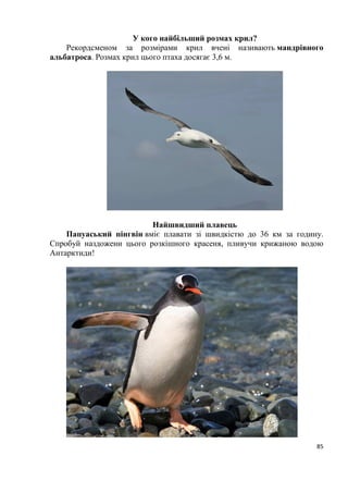 85
У кого найбільший розмах крил?
Рекордсменом за розмірами крил вчені називають мандрівного
альбатроса. Розмах крил цього птаха досягає 3,6 м.
Найшвидший плавець
Папуаський пінгвін вміє плавати зі швидкістю до 36 км за годину.
Спробуй наздожени цього розкішного красеня, пливучи крижаною водою
Антарктиди!
 