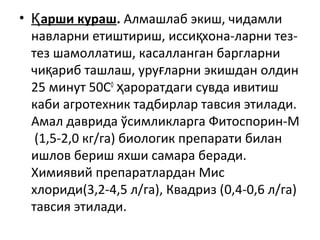 • арши курашҚ . Алмашлаб экиш, чидамли
навларни етиштириш, исси хона-ларни тез-қ
тез шамоллатиш, касалланган баргларни
чи ариб ташлаш, уру ларни экишдан олдинқ ғ
25 минут 50С0
ароратдаги сувда ивитишҳ
каби агротехник тадбирлар тавсия этилади.
Амал даврида ўсимликларга Фитоспорин-М
(1,5-2,0 кг/га) биологик препарати билан
ишлов бериш яхши самара беради.
Химиявий препаратлардан Мис
хлориди(3,2-4,5 л/га), Квадриз (0,4-0,6 л/га)
тавсия этилади.
 