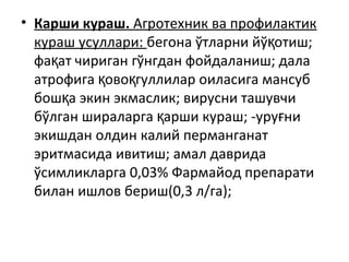 • Карши кураш. Агротехник ва профилактик
кураш усуллари: бегона ўтларни йў отиш;қ
фа ат чириган гўнгдан фойдаланиш; далақ
атрофига ово гуллилар оиласига мансубқ қ
бош а экин экмаслик; вирусни ташувчиқ
бўлган шираларга арши кураш; -уру ниқ ғ
экишдан олдин калий перманганат
эритмасида ивитиш; амал даврида
ўсимликларга 0,03% Фармайод препарати
билан ишлов бериш(0,3 л/га);
 